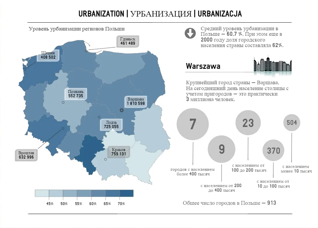 Создание инфографики на тему урбанизации (студенческая работа)